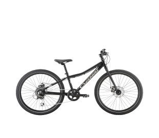 Crescent Rask 24 2022